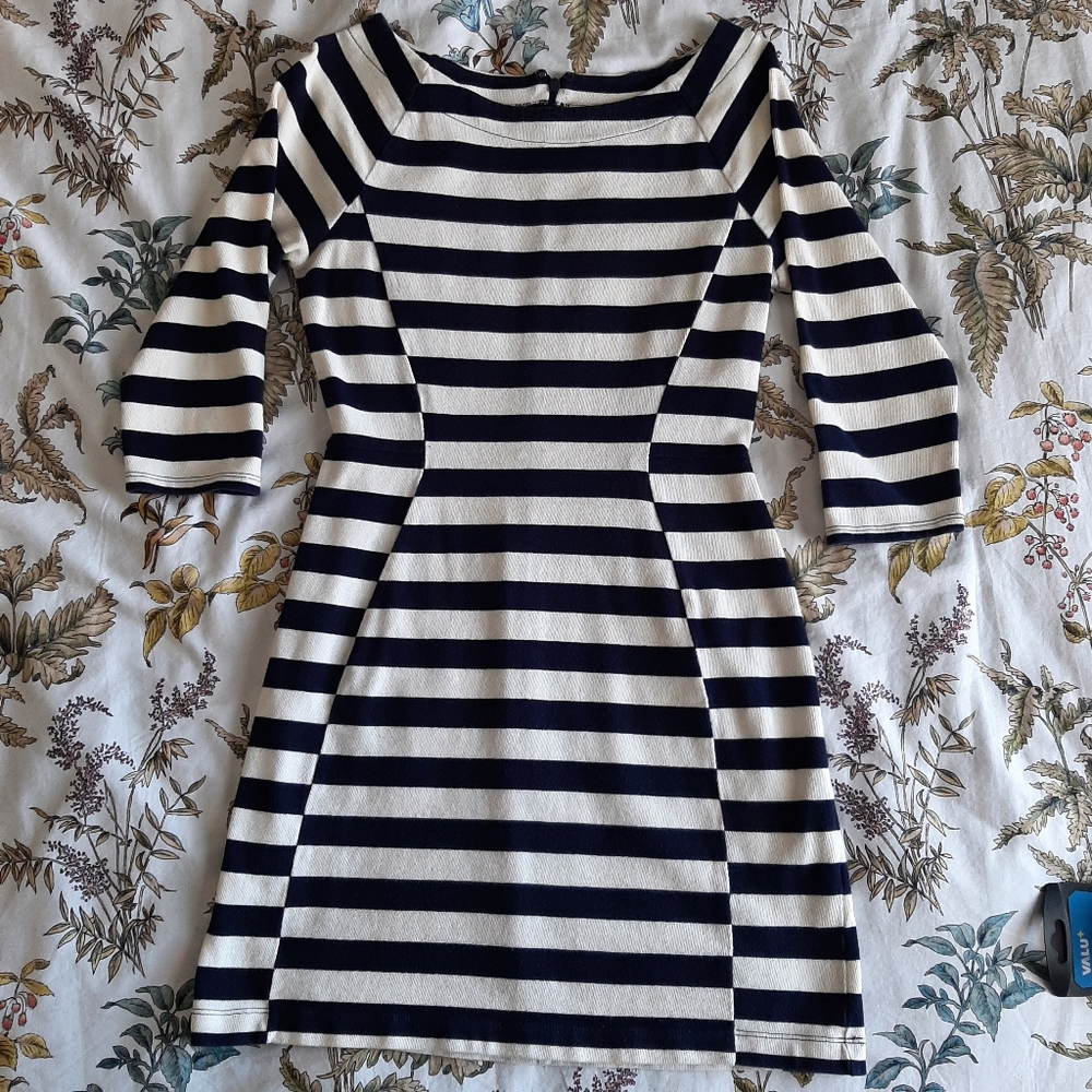 Striped Navy and White Dress From Gap